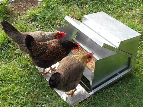 best chicken feeder|self feeding chicken feeder.